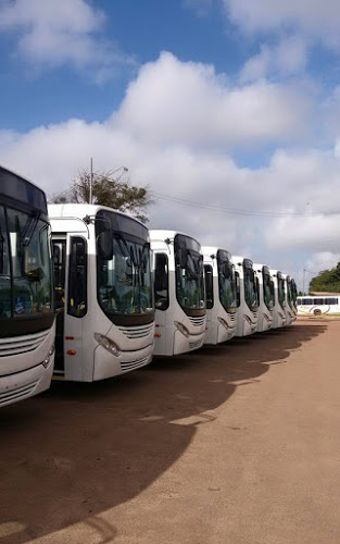 Registro feito antes da plotagem na nova frota de ônibus que circulará em São Luís, sob administração do Estado